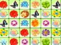 Colorful Flowers Link Icon