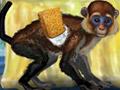 Funny Monkey Icon
