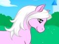 Sweet Pony Icon